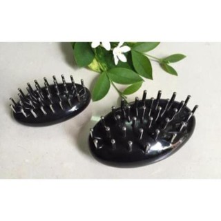 Con bọ diện chẩn lớn/ nhỏ