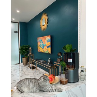 Máy ép chậm HUROM H200