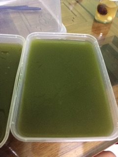 Bột thạch găng 10kg