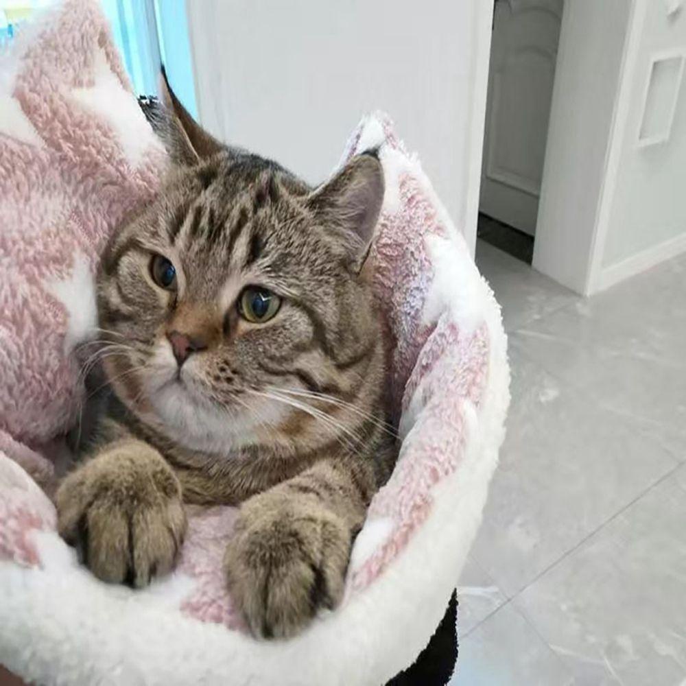 Giường Ngủ MềM MạI ẤM ÁP Cho Thú Cưng