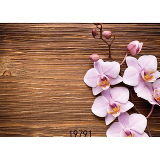 Thảm 3D CHụp Hình Sản Phẩm Thảm Nghệ THuật Kích 125x80