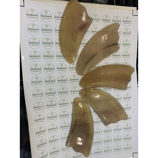 Miếng cạo gió từ sừng trâu