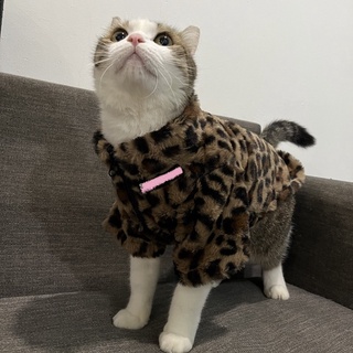 ✨✨ Áo khoác lông cho chó mèo ✨✨