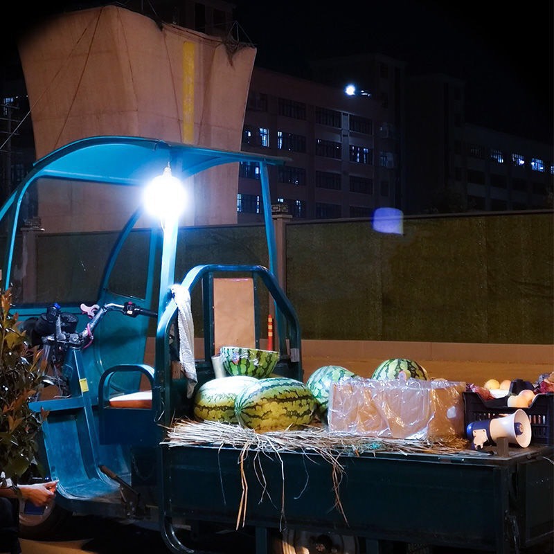 Bóng đèn led năng lượng mặt trời_treo hiên nhà sân vườn 100W tiện lợi | BigBuy360 - bigbuy360.vn