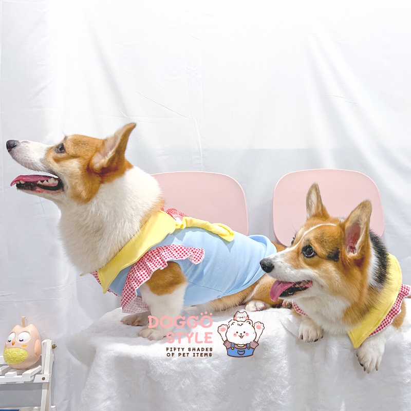 Áo Thun Ba Lỗ DoggoStyle Vải Cotton Ấm Mùa Thu Đông Cho Chó Lớn Size Bự Corgi Bull Pháp Pug Mặt Xệ Lạp Xưởng