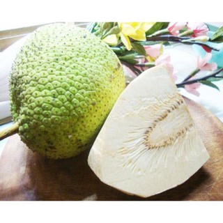 quả sake tươi 1kg