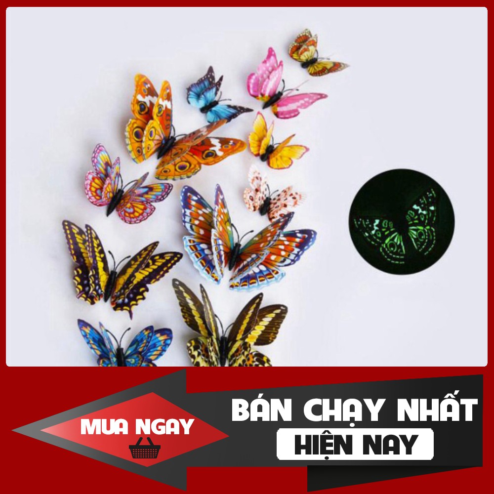 Bộ 12 Bươm Bướm 3D Phát Quang, Bướm Dạ Quang, Gắn Trang Trí Nội Thất