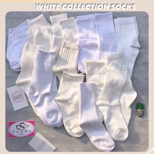 Tất trơn tone màu trắng  - Trangsocks