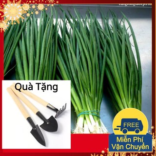 Hạt Giống Hành Lá Tặng Bộ Dụng Cụ Mini Trồng Cây Tặng Bộ Dụng Cụ Mini Trồng Cây