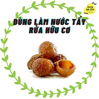 Quả Bồ Hòn Tách Hạt [ FREESHIP] Hạt Bồ Hòn Tách Hạt Loại 1 Tây Nguyên| Nguyên Liệu Làm Nước Giặt, Tẩy Rửa An Toàn