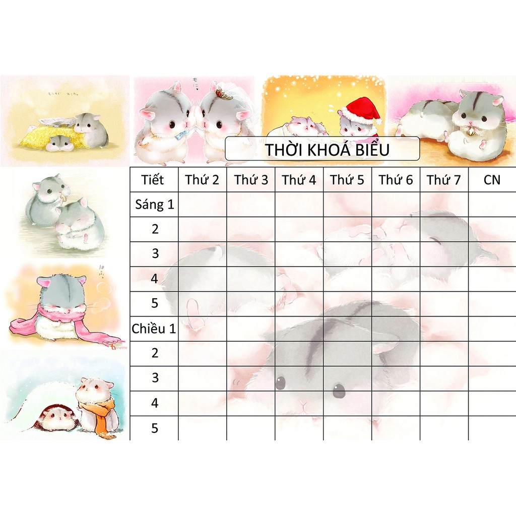 Thời Khoá Biểu Phoebe hamster A4TKB15 size A4