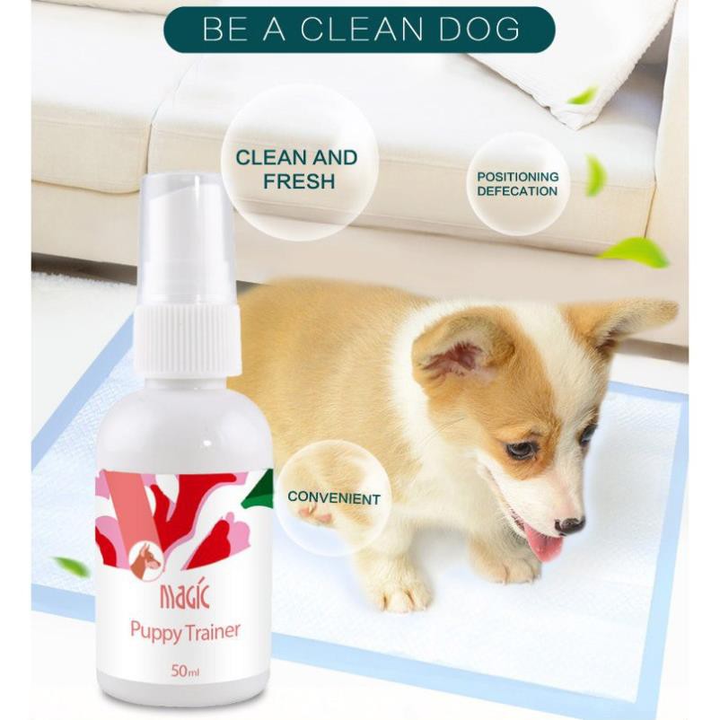 Xịt Vệ Sinh Dạy Chó Đi Vệ Sinh Đúng Chỗ hiệu Magic Puppy Trainer 50ml