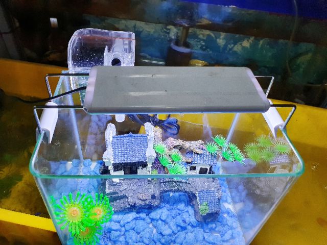 COMBO HỒ CÁ TRANG TRÍ SẴN 26x17x19cm 920