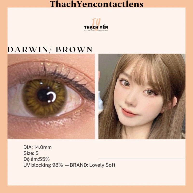 Kính Áp Tròng Darwin Brown Lens Nâu Cận 0-10 độ