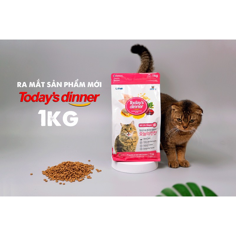 Thức ăn hạt cho mèo TODAY'S DINNER - Túi 1kg thức ăn cho mèo phù hợp mèo lớn , mèo con hạt mèo �Today's Dinner