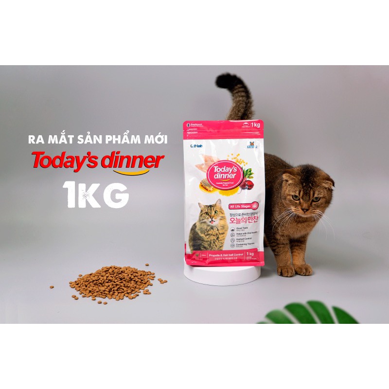 Thức ăn hạt cho mèo TODAY'S DINNER - Túi 1kg thức ăn cho mèo phù hợp mèo lớn , mèo con hạt mèo �Today's Dinner