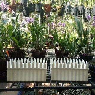 chậu nhựa hàng rào  trồng hoa size 29 x13 cm