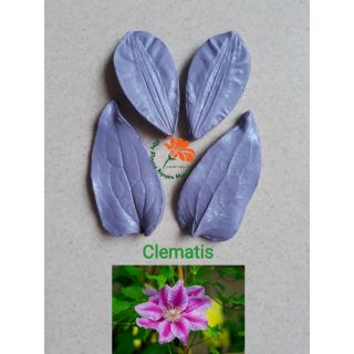 COMBO SET GÂN CLEMATIS + CÁNH CÁT TƯỜNG + CUTTER