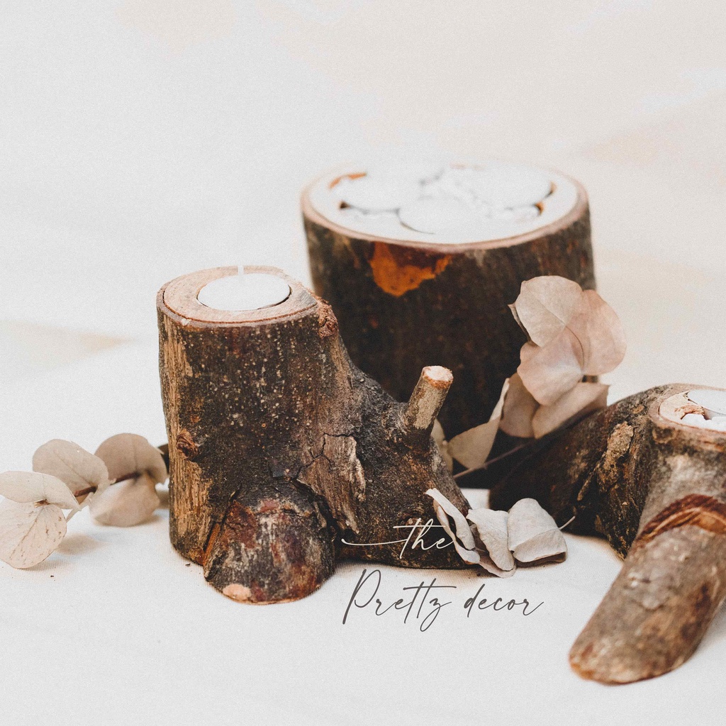 Chậu Khúc Gỗ Tự Nhiên Dáng Cổ Thụ Trồng Cây, Decor, Trang Trí Vintage