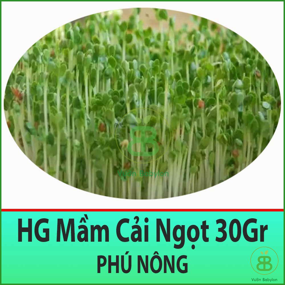 Hạt Giống Rau Mầm Cải Ngọt 30Gr Giàu Dinh Dưỡng