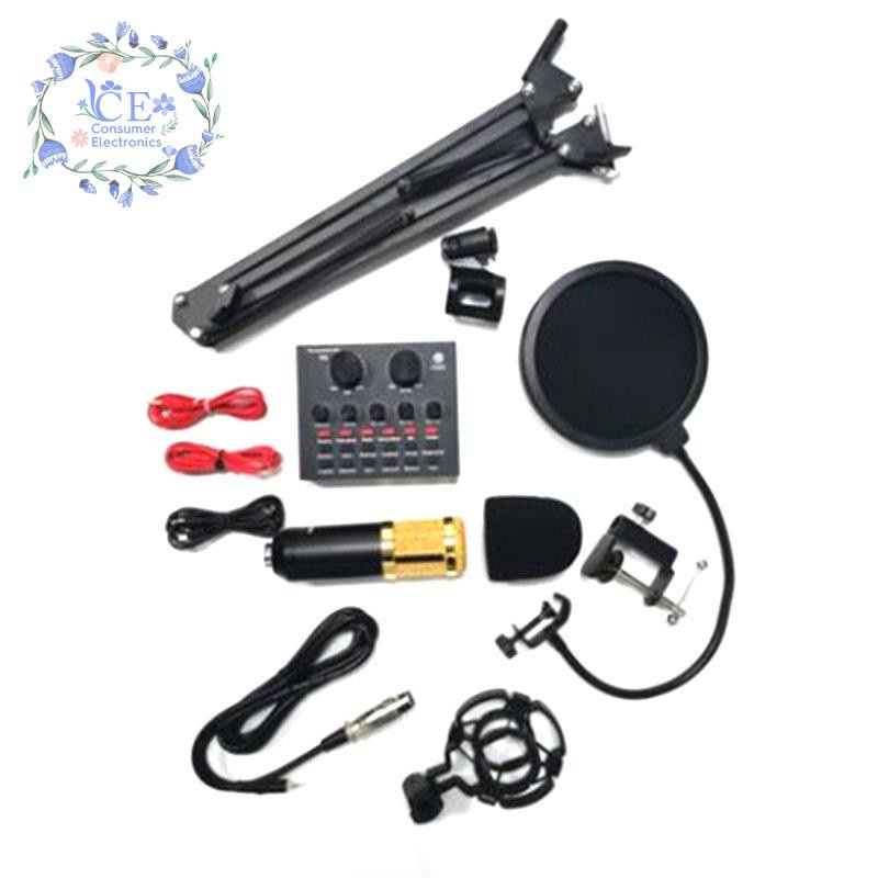 BM800 Microphone Kit Studio with V8 Sound Card Professional Microphone Studio Condenser Microphone for Computer(Gold)