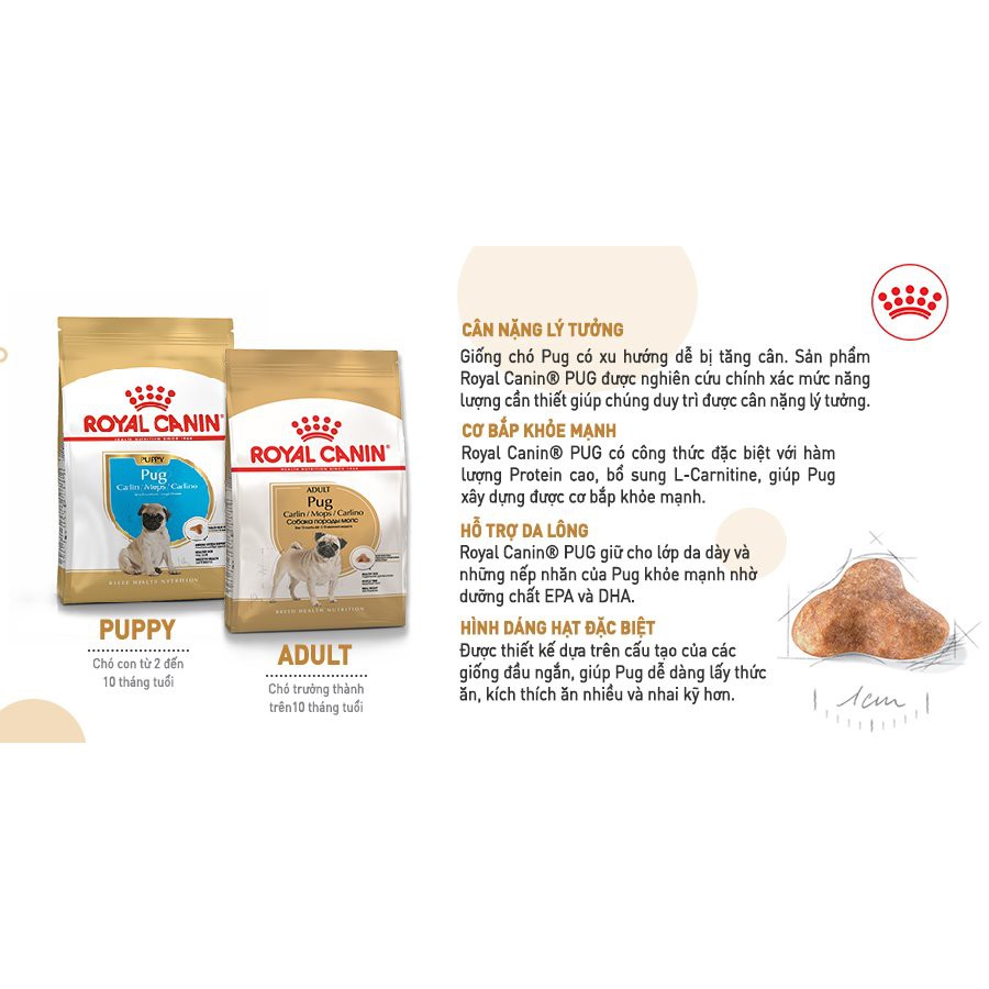 Hạt Royal Canin Pug Puppy 500g dành cho chó Pug nhỏ