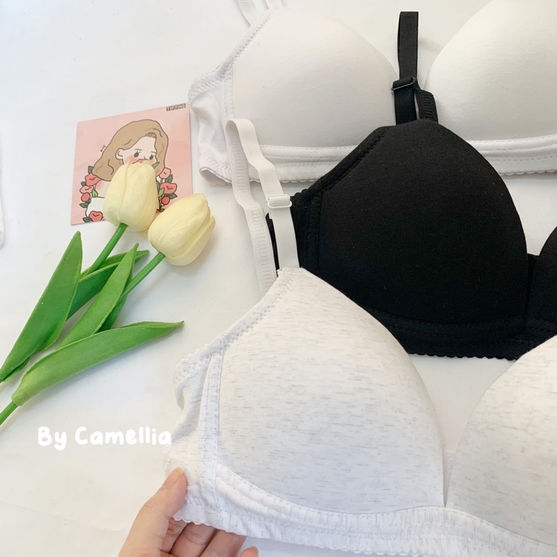 Áo lót cotton trơn không gọng cao cấp