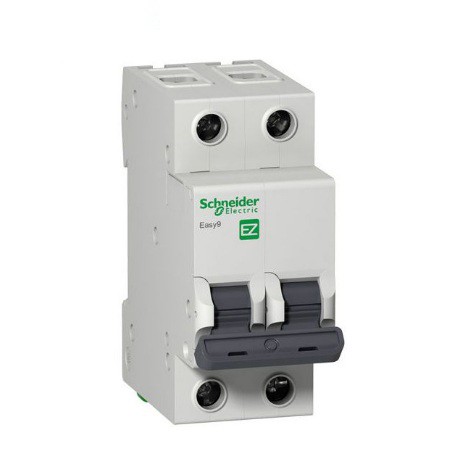 Aptomat MCB 2 pha dòng cắt 4,5kA Schneider