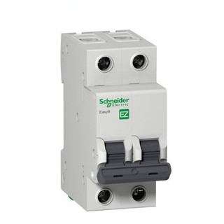 Aptomat MCB 2 pha dòng cắt 4,5kA Schneider (16A, 20A, 25A, 32A, 40A, 50A, 63A)