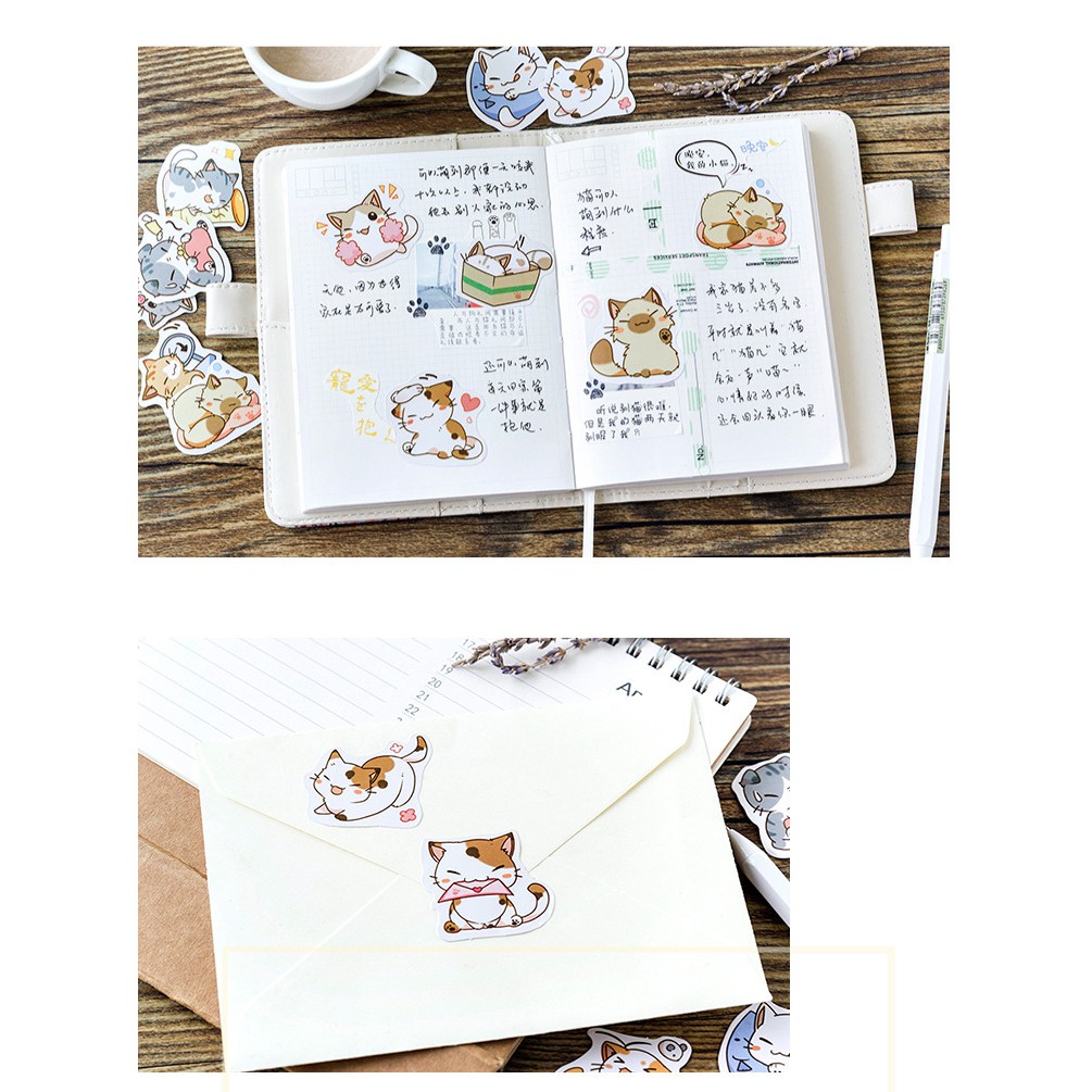 Sticker chủ đề Mèo Mập - Hộp 45 miếng dán trang trí sổ tay Bullet Journal - M057