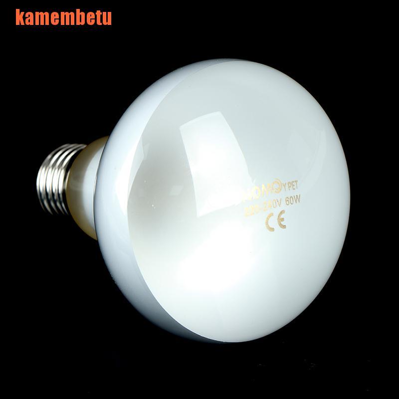 Bóng Đèn Tia Uv Sưởi Ấm Cho Bò Sát Uva + Uvb | BigBuy360 - bigbuy360.vn