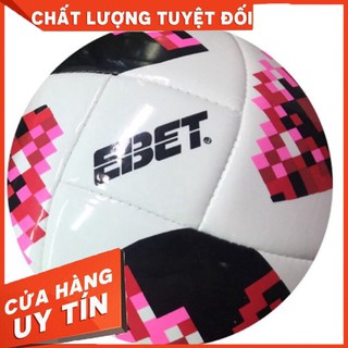 Quả bóng đá Động Lực may số 5 (nhiều màu)