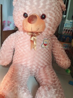 Xả gấu teddy giá rẻ
