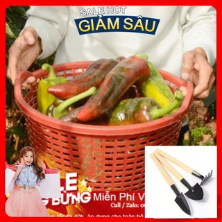 Hạt Giống Ớt Sừng Bò - 30 Hạt / Gói - Tặng Kèm Bộ Dụng Cụ Trồng Cây Mini