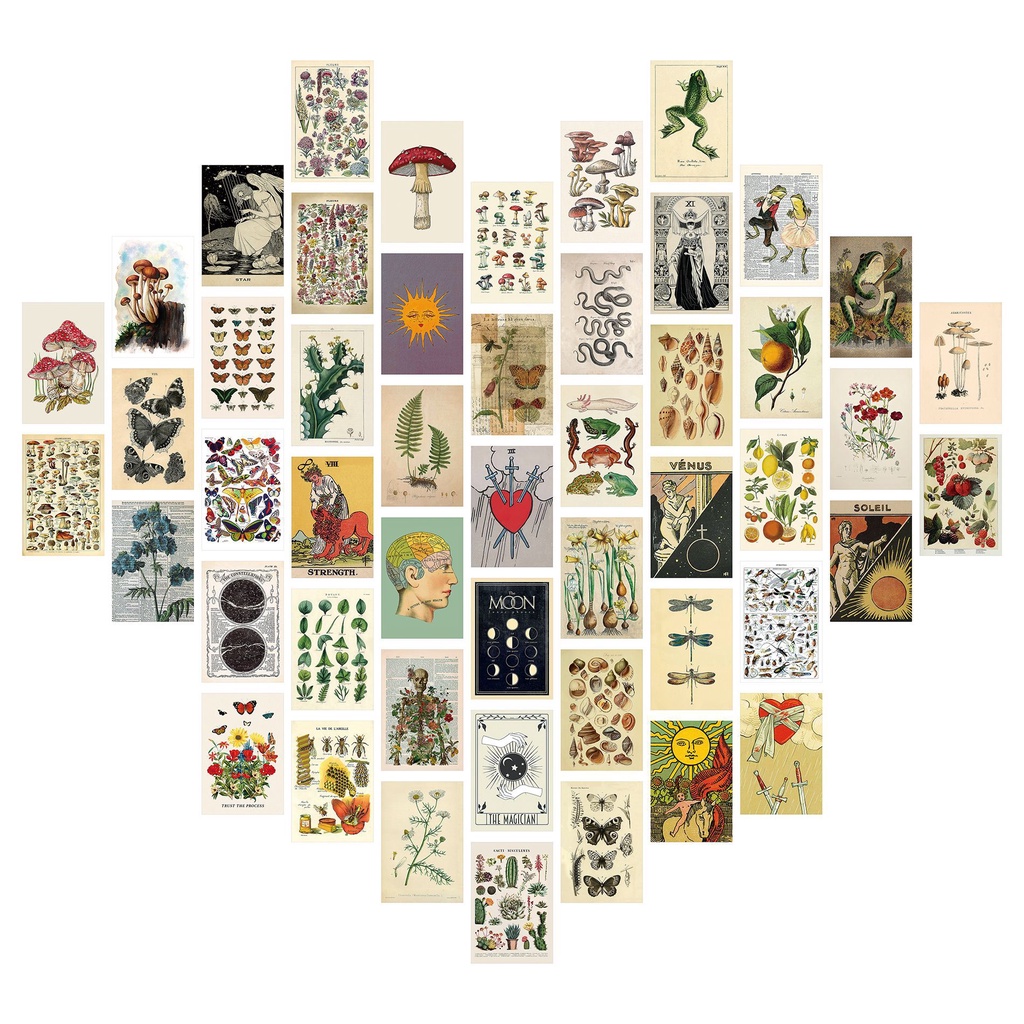 Bộ 50 Tấm Poster In Hình Nhiều Màu Sắc