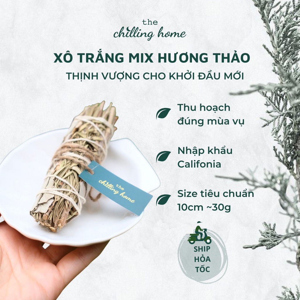 Xô thơm trắng và hương thảo  tạo nên khởi đầu mới