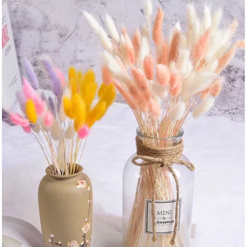 5 hoa đuôi thỏ decor giá mềm- có nhiều màu dùng decor trang trí