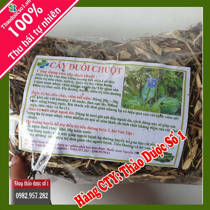 Đuôi chuột  điều trị hở van tim, tiểu đường-1Kg SP CTY Thảo Dược Số 1