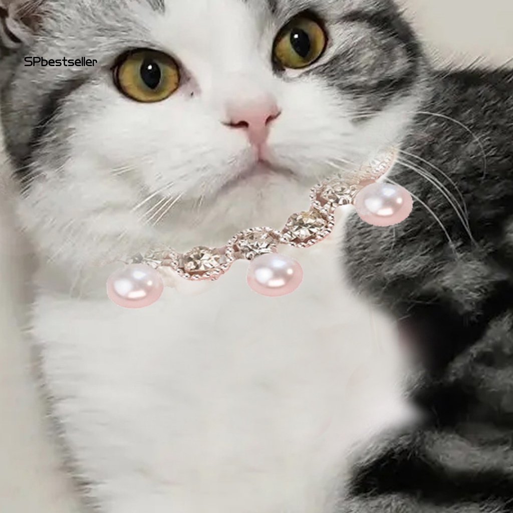 Vòng Cổ Thú Cưng Kiểu Công Chúa Không Phai Màu Làm Quà Tặng Sinh Nhật