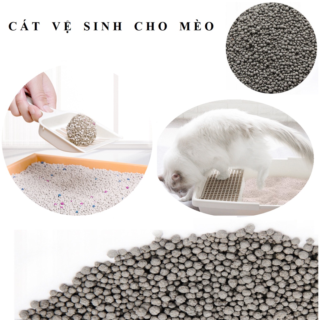 CÁT VỆ SINH CHO MÈO SIÊU VÓN CỤC - CÁT THƯỜNG CHO MÈO - CÁT MÈO