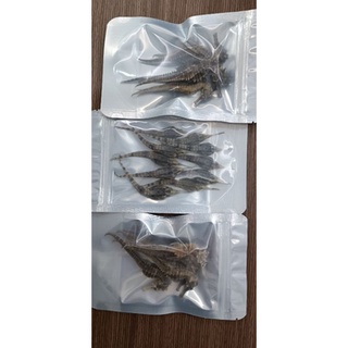 COMBO 10 CON HẢI YẾN