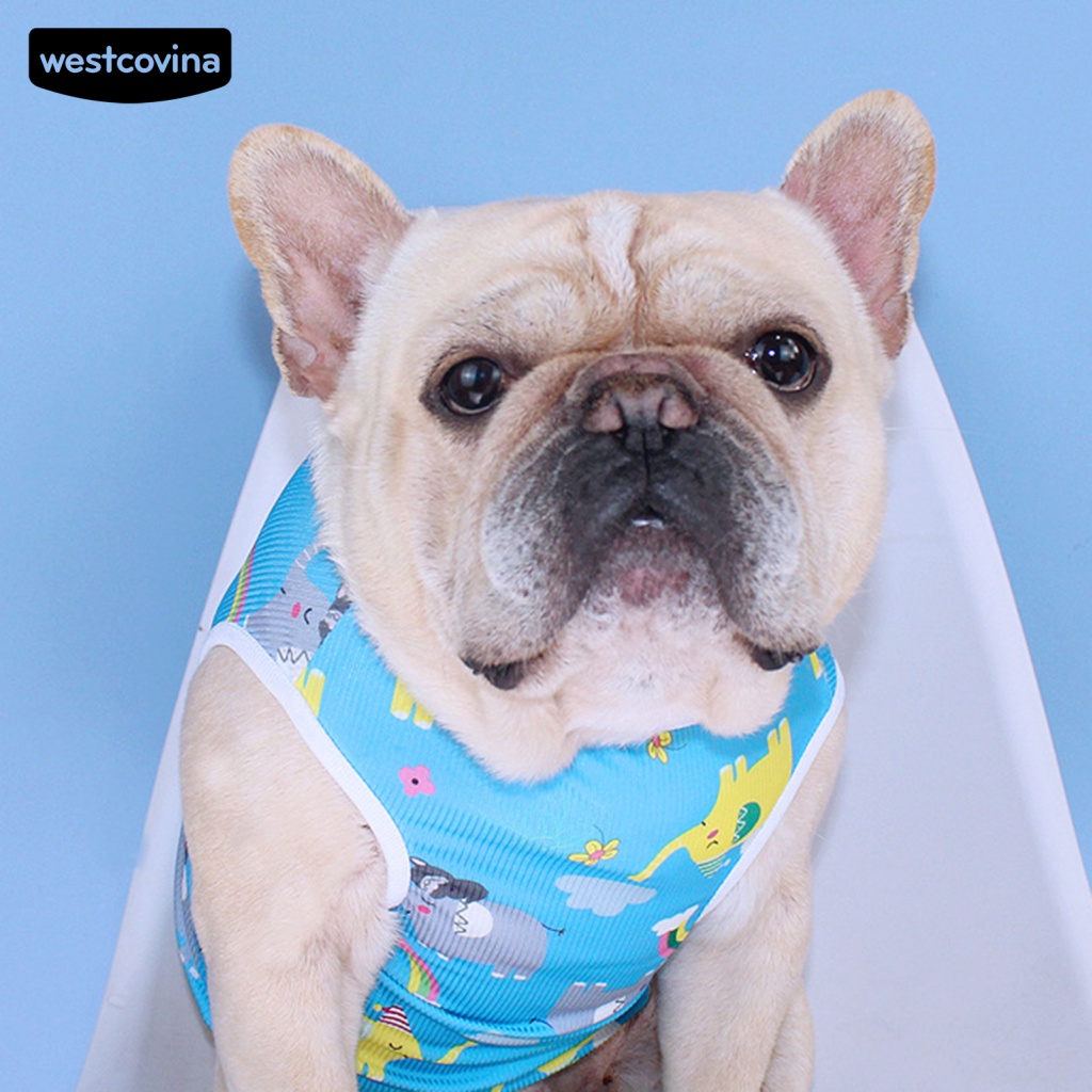 Áo Thun Cotton Chui Đầu Không Dính Họa Tiết Lưới Lông Thú Cưng Chụp Ảnh