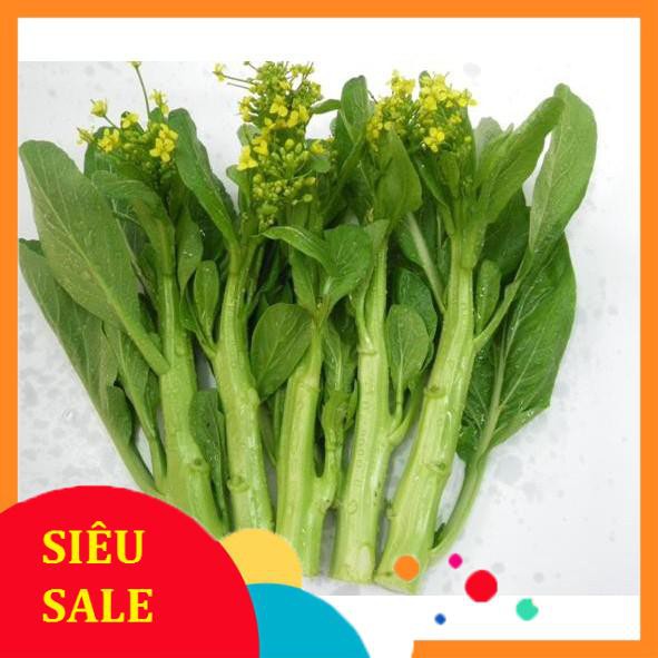 20g Hạt giống Cải ngồng