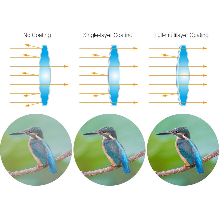 Ống Nhòm SVBONY SV47 8X42 / 10X42 / 8X32 Mm Lăng Kính BAK4 Phóng Đại HD Tầm Nhìn Ban Đêm Chống Thấm Nước | BigBuy360 - bigbuy360.vn