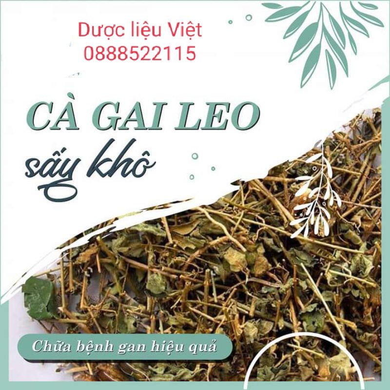 Cà gai leo khô vụ mới xanh đẹp 1kg