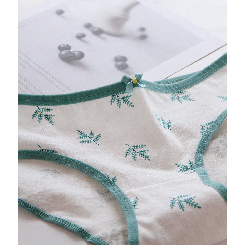 Quần Lót Nữ - Quần Lót Nữ Cotton kháng khuẩn thoáng mát mềm mại tông xanh lá màu dễ thương DAN STORE MÃ 1311