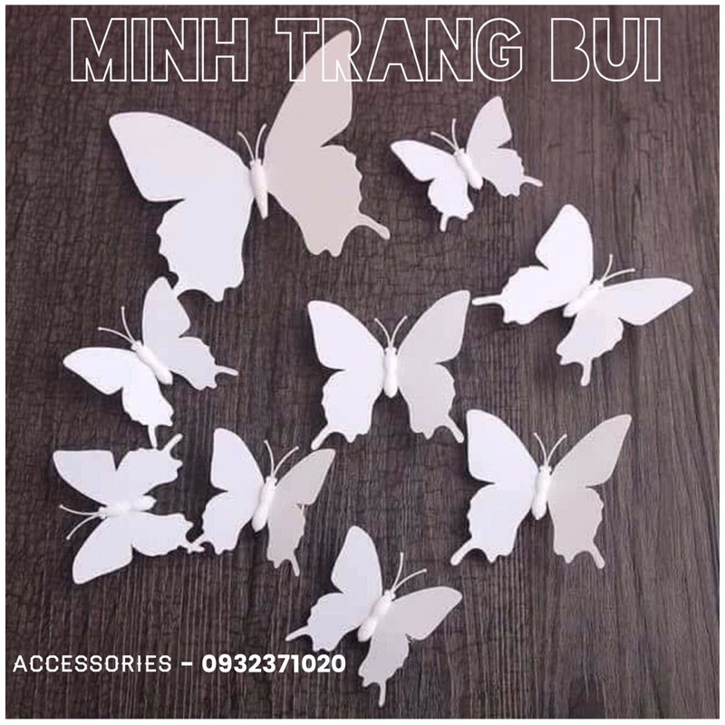 cài tóc hình con bướm