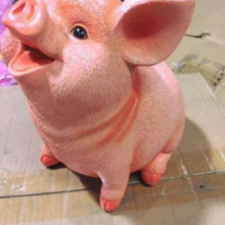 Heo sứ tiết kiệm