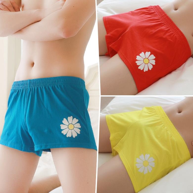 QUẦN NGỦ NAM COTTON TRƠN HOA CÚC (HÌNH THẬT) New