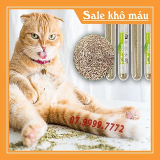 [FREESHIP - HÀNG LOẠI A] Cỏ mèo khô Catnip ống 10g - Hỗ Trợ Tiêu Hóa, Nôn Búi Lông - PK30